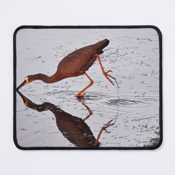 Item preview, White Faced Heron designed and sold by pedroski.