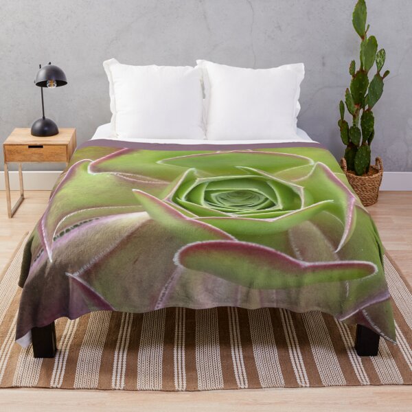 Item preview, Aeonium Arboreum - A Striking Succulent designed and sold by imaginethis.