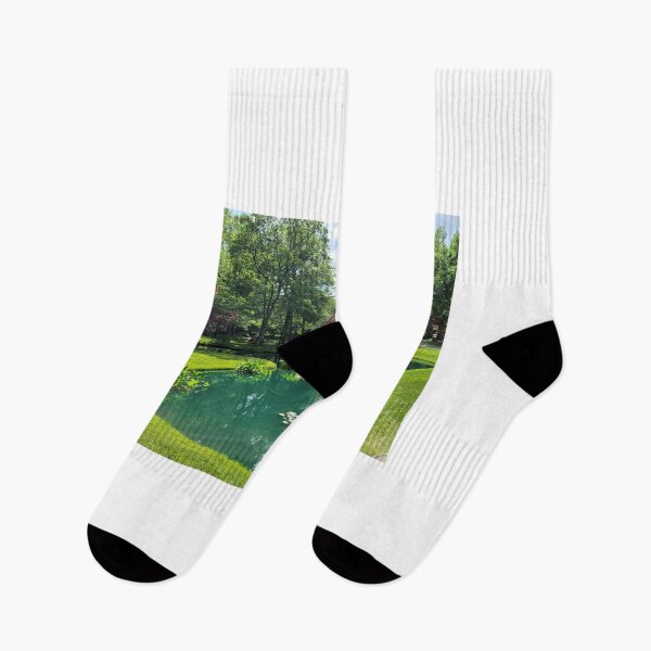 Item preview, Ponds designed and sold by Larrysphotos.