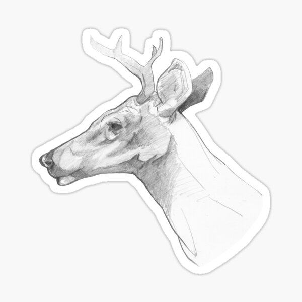 Deer You Sticker