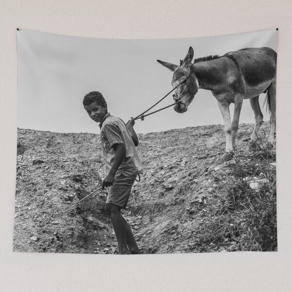 Item preview, the boy and his donkey designed and sold by felipequeiroz.