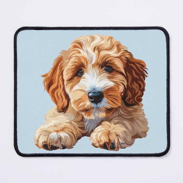 Artikelvorschau, Labradoodle Welpe entworfen und verkauft von VelvetRoom.