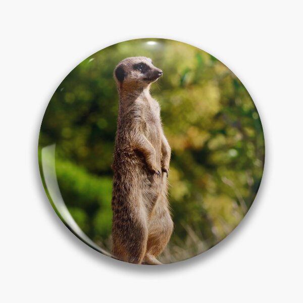 Item preview, Meerkat watch designed and sold by Sunset Photography by Andy Cooper.