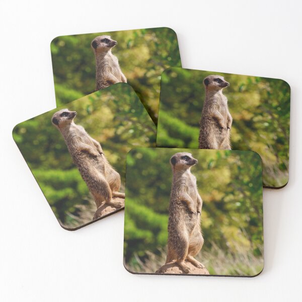 Item preview, Meerkat watch designed and sold by Sunset Photography by Andy Cooper.