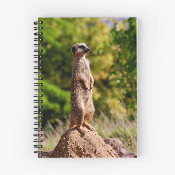 Item preview, Meerkat watch designed and sold by Sunset Photography by Andy Cooper.