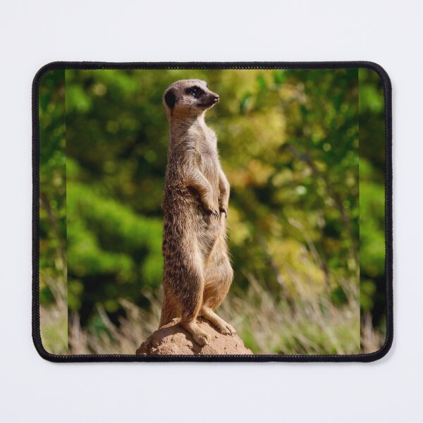 Item preview, Meerkat watch designed and sold by Sunset Photography by Andy Cooper.