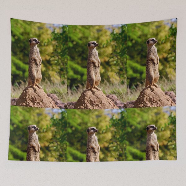 Item preview, Meerkat watch designed and sold by Sunset Photography by Andy Cooper.