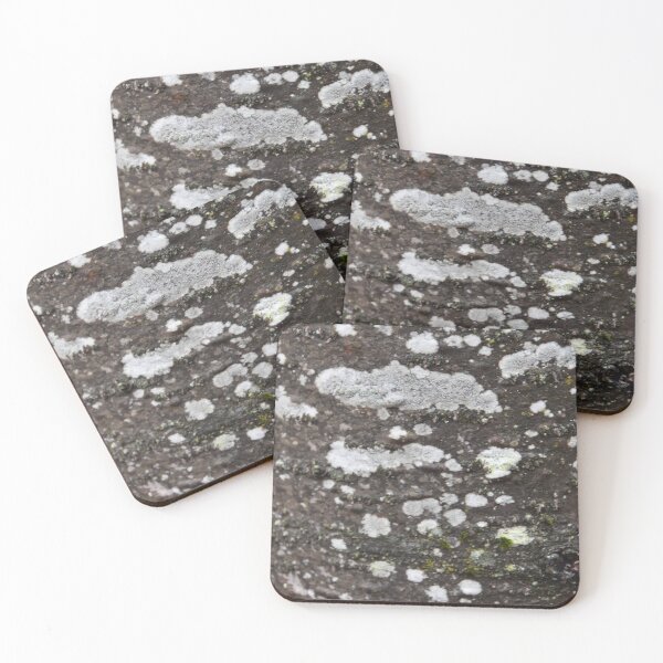 Item preview, A fir bark designed and sold by Claude Laprise.