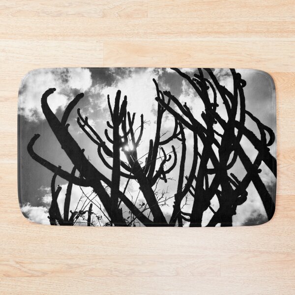 Item preview, cacti from northeastern Brazil designed and sold by felipequeiroz.