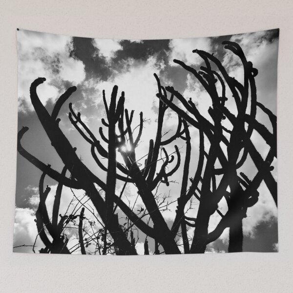 Item preview, cacti from northeastern Brazil designed and sold by felipequeiroz.