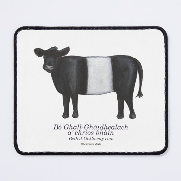 Item preview, Belted Galloway cow / Bò Ghall-Ghàidhealach a' chrios bhàin (Scottish Gaelic)  designed and sold by Mamaidh Made.