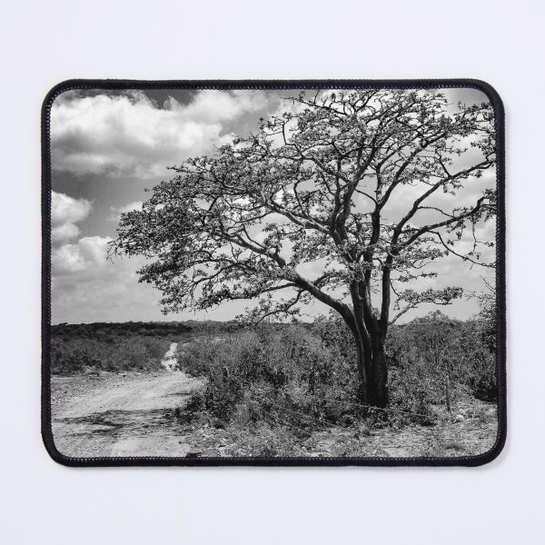 Item preview, tree and the road designed and sold by felipequeiroz.