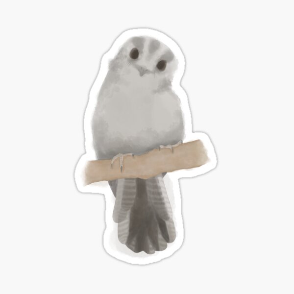 Item preview, Australian Owlet-Nightjar (Aegotheles cristatus) designed and sold by Elipangolin.