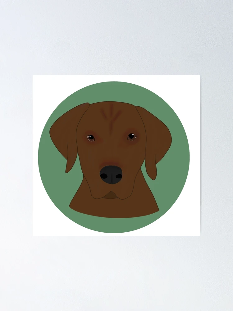 Thumbnail 1 of 3, Poster, Rhodesian Ridgeback designed and sold by Obsydian-Jay.