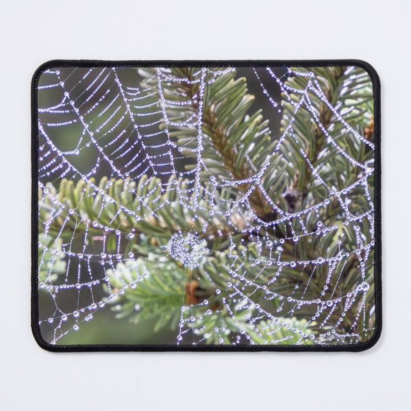 Item preview, Dew Covered Spider Web designed and sold by TinyDinoDesigns.