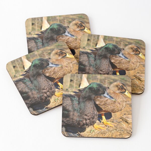 Item preview, Ducks  designed and sold by McFleur's Lens.