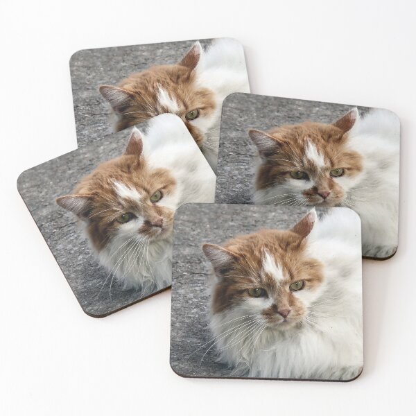Item preview, Beautiful Kitty designed and sold by heatherfriedman.