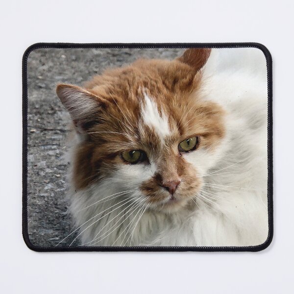 Item preview, Beautiful Kitty designed and sold by heatherfriedman.