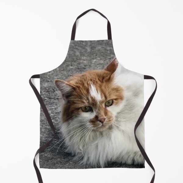 Item preview, Beautiful Kitty designed and sold by heatherfriedman.