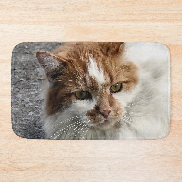 Item preview, Beautiful Kitty designed and sold by heatherfriedman.