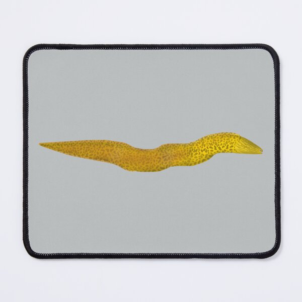 Item preview, Freshwater Moray designed and sold by fishfolkart.