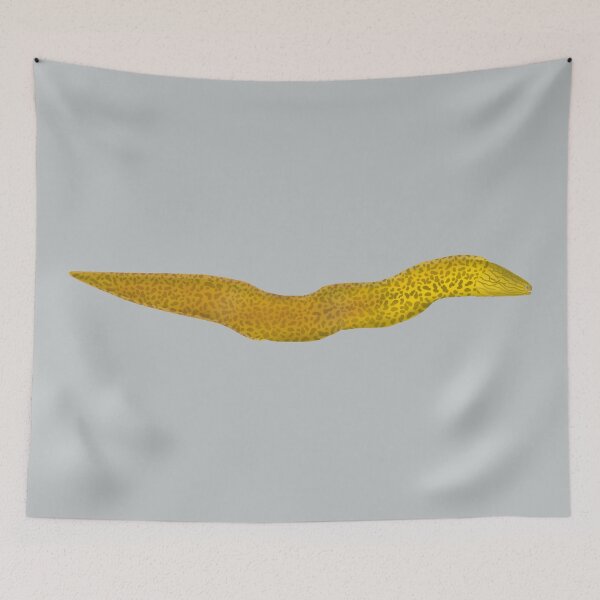Item preview, Freshwater Moray designed and sold by fishfolkart.