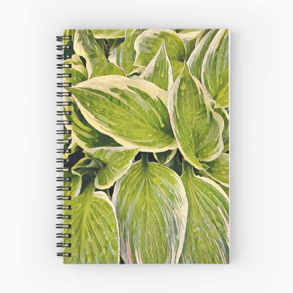 Artikelvorschau, Garten-Hosta entworfen und verkauft von mmmMiMi.