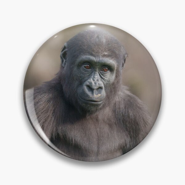 Item preview, Basoko the Young Gorilla Sitting on a Log designed and sold by rawshutterbug.