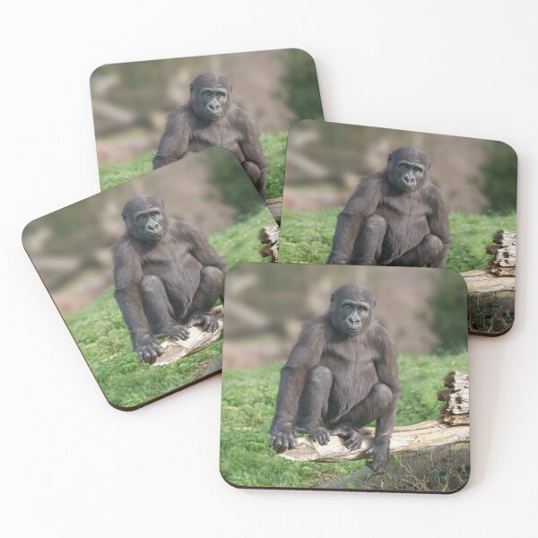Item preview, Basoko the Young Gorilla Sitting on a Log designed and sold by rawshutterbug.