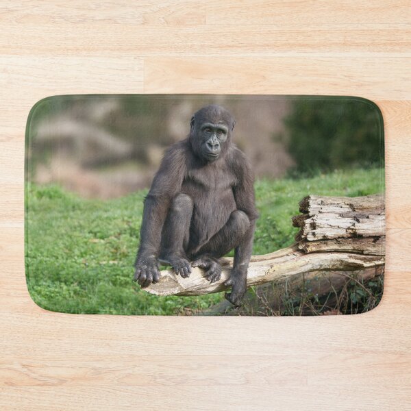 Item preview, Basoko the Young Gorilla Sitting on a Log designed and sold by rawshutterbug.