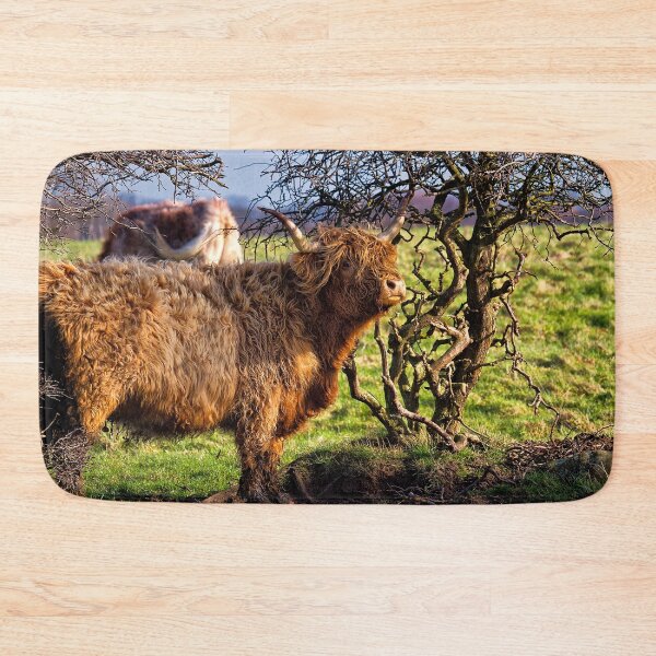 Item preview, Colourful Highland Cow against a gnarled Hawthorne Tree designed and sold by Violaman.