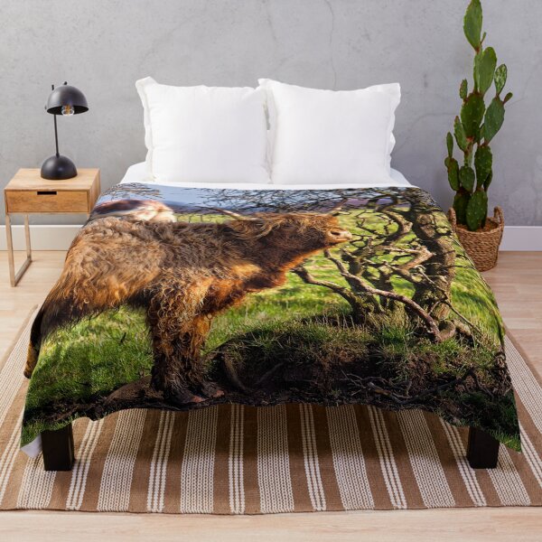 Item preview, Colourful Highland Cow against a gnarled Hawthorne Tree designed and sold by Violaman.