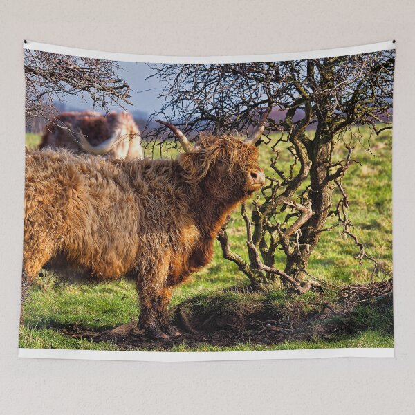 Item preview, Colourful Highland Cow against a gnarled Hawthorne Tree designed and sold by Violaman.
