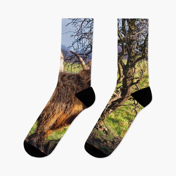 Item preview, Colourful Highland Cow against a gnarled Hawthorne Tree designed and sold by Violaman.