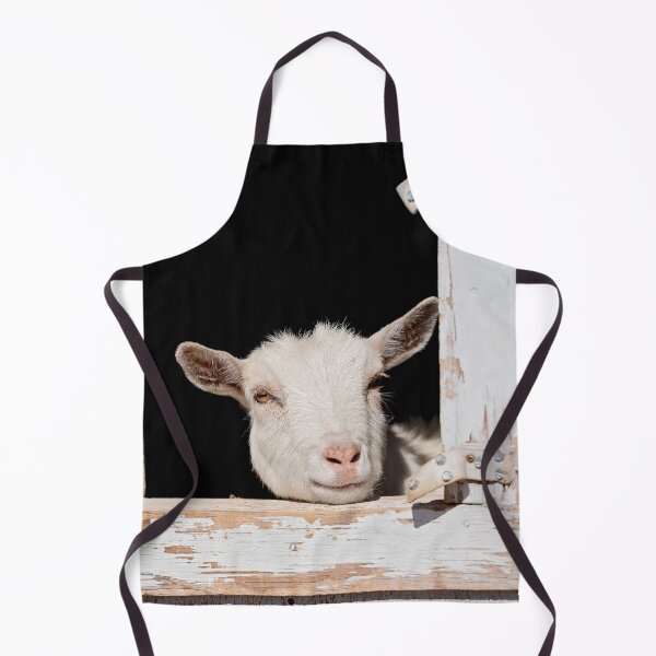 Item preview, Goat in a Window designed and sold by OryPhotography.