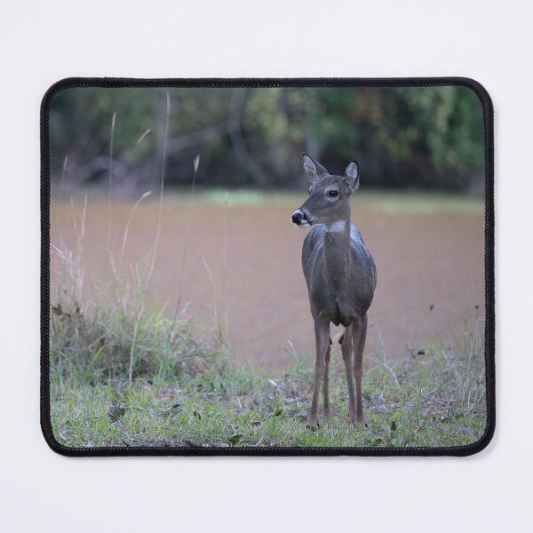 Item preview, Deer in the Park designed and sold by cboisen.