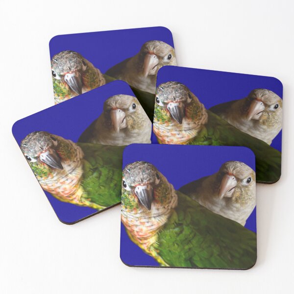 Item preview, Green Cheek Conures designed and sold by OryPhotography.