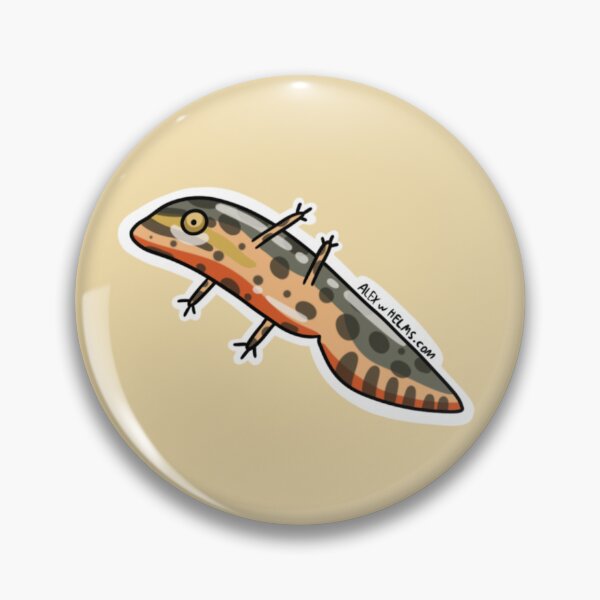 Item preview, Silly Stickers Smooth Newt - Realistic Edition designed and sold by Alex Helms Illustrations.