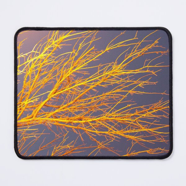 Item preview, river tree designed and sold by Tereza Pilar Art.