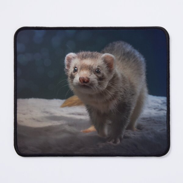 Item preview, Adorably Curious designed and sold by LucyMiddelberg.