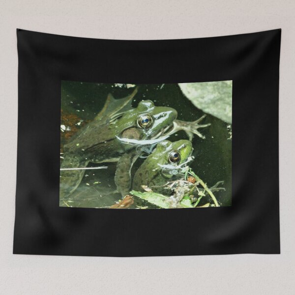 Item preview, Edgar and Allen Frog: The Frog Brothers designed and sold by Katrina  Brown.