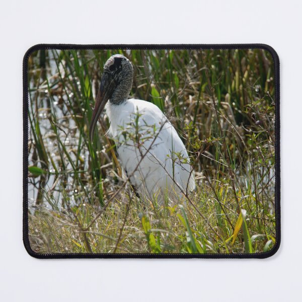 Item preview, Wood Stork at Viera Wetlands designed and sold by ValeriesGallery.