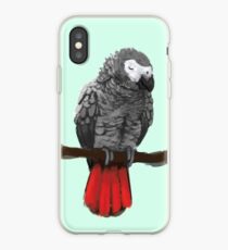 Sleepy African Grey iPhone Case