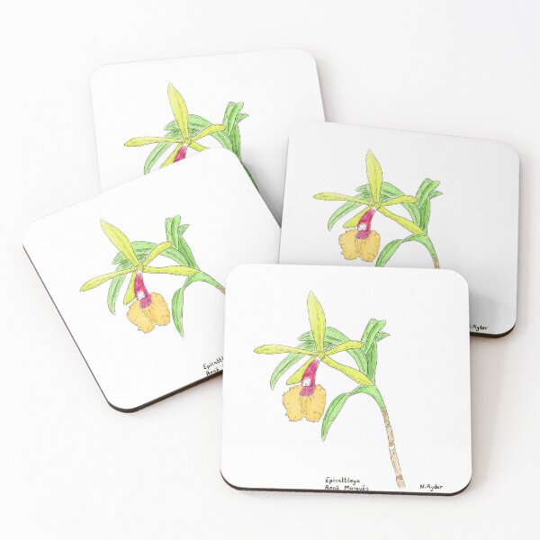 Item preview, Epicattleya Orchid  designed and sold by Nicksplants.