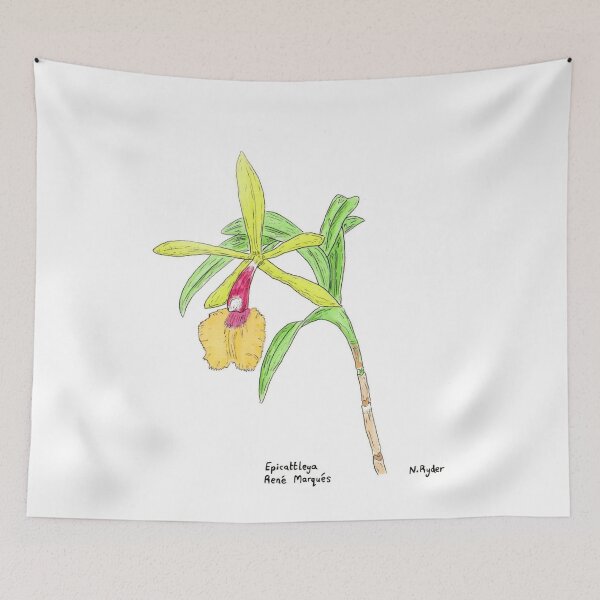 Item preview, Epicattleya Orchid  designed and sold by Nicksplants.