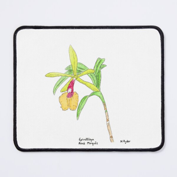 Item preview, Epicattleya Orchid  designed and sold by Nicksplants.