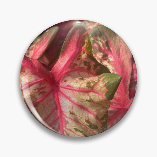 Item preview, Plant  designed and sold by Lauracolleen3.
