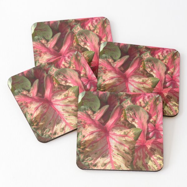 Item preview, Plant  designed and sold by Lauracolleen3.