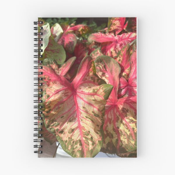 Item preview, Plant  designed and sold by Lauracolleen3.