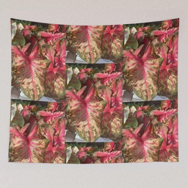 Item preview, Plant  designed and sold by Lauracolleen3.
